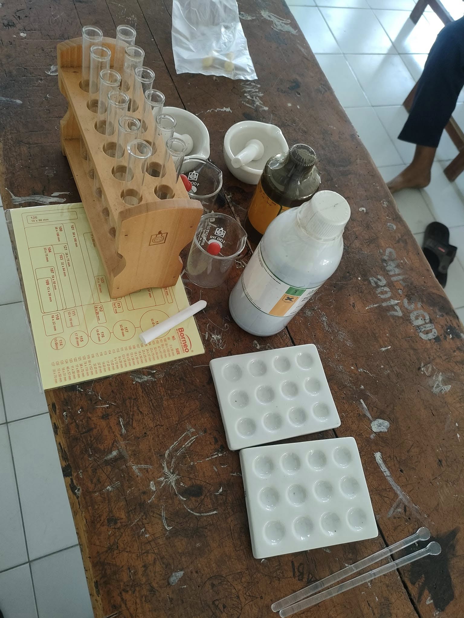 Sains